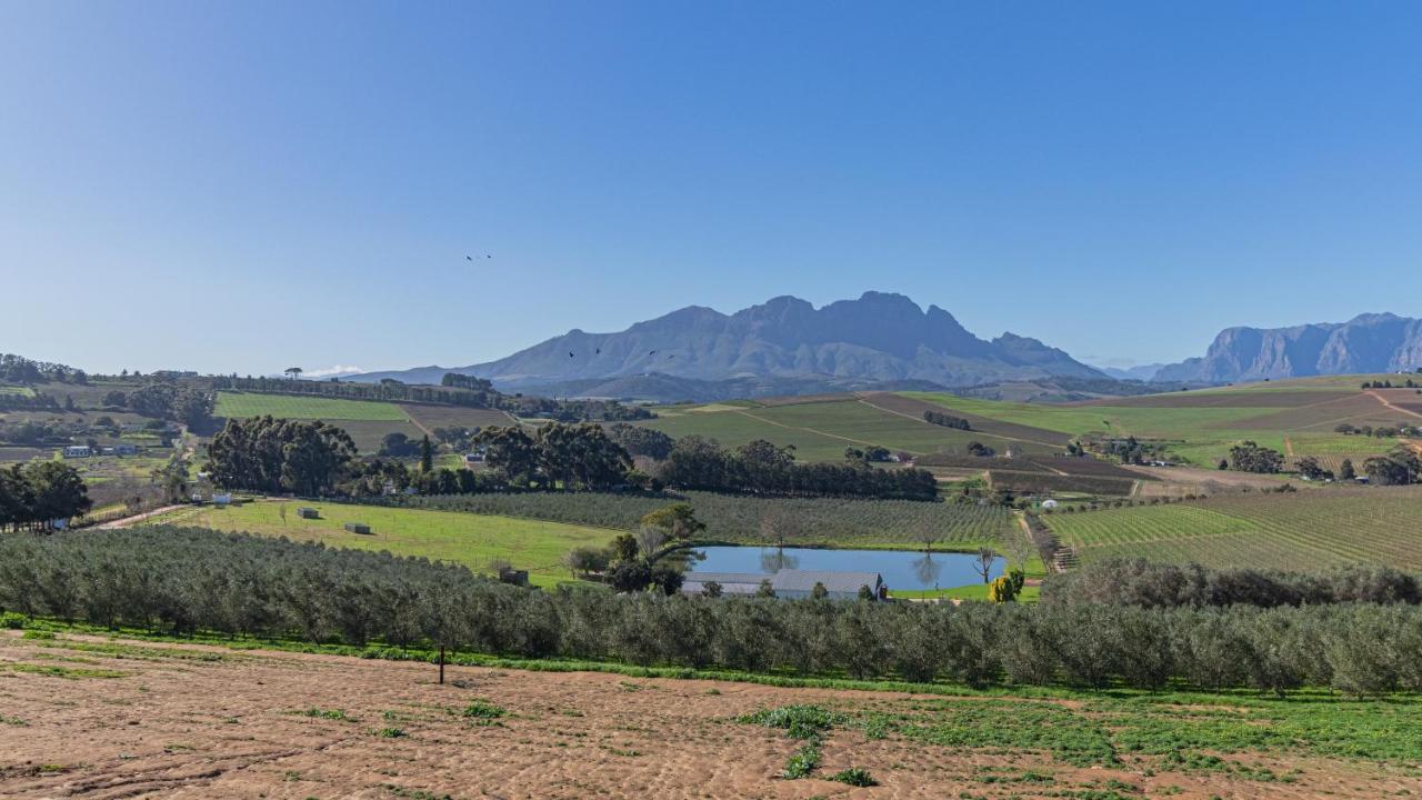 Hotel The Salene & Stellenbosch